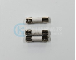 FANUC發那科一次性慢斷保險熔斷器A60L-0001-0450#8R0